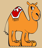Debt Camel logo